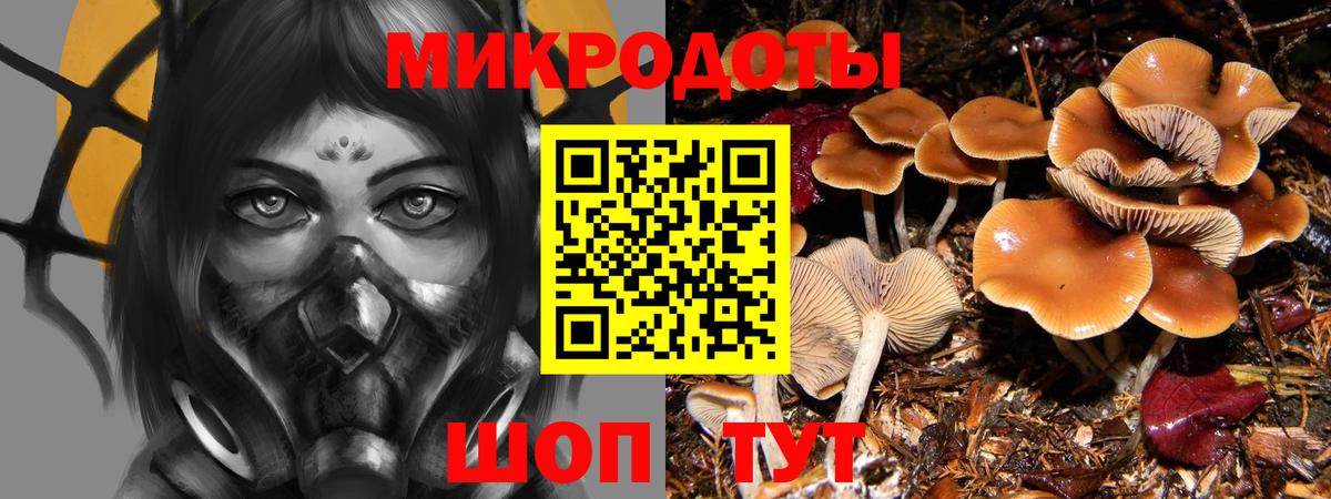 Псилоцибиновые грибы MAGIC MUSHROOMS  Вход с VPN  Прохладный  как найти закладки  Галлюциногенные грибы Cubensis 